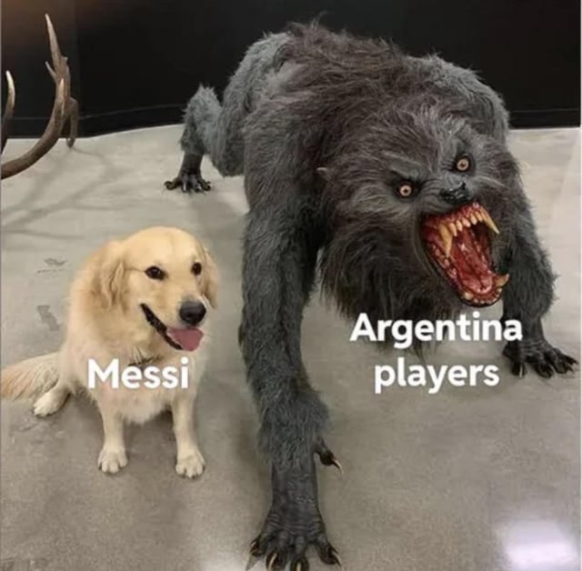 This meme uses the widely popular calm golden retriever vs aggressive snarling werewolf comparison template. The friendly, relaxed golden retriever is labeled 'Messi', while the large, monstrous, threatening werewolf positioned next to it is labeled 'Argentina players'. The joke plays on the common public observation that Lionel Messi consistently maintains a calm, focused demeanor solely centered on playing soccer during matches, in stark contrast to many other players on the Argentina national football team who often display more aggressive, confrontational, and hot-tempered behavior on the pitch, aligning perfectly with the original title stating Messi is only programmed to play soccer.