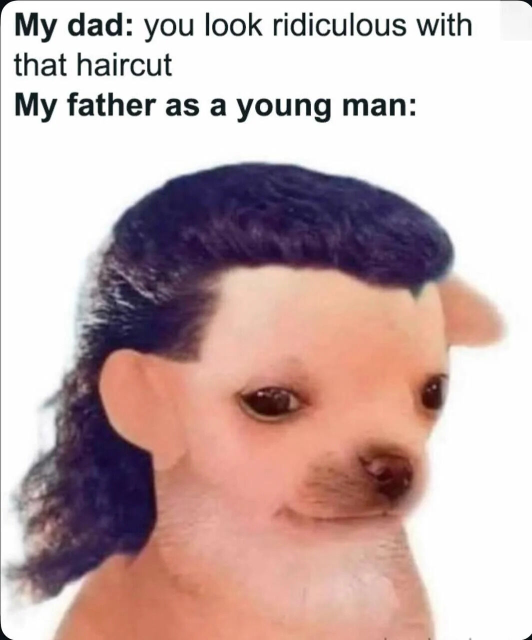A humorous meme contrasting a dad criticizing the creator's haircut with an image of the 'young father' as a dog with an exaggerated mullet hairstyle. The top text reads 'My dad: you look ridiculous with that haircut' followed by 'My father as a young man:' above a photo of a dog with dark, styled hair resembling a mullet. The irony lies in the dad mocking a haircut while the 'young father' (depicted as a dog) has a similarly silly hairstyle, creating a lighthearted, wholesome joke about parental hypocrisy and funny hair trends.