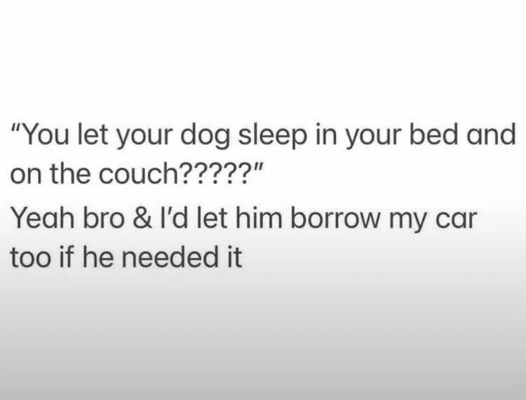 A text-based meme featuring a humorous dialogue exchange about dog ownership. The first line is a question expressing surprise: "You let your dog sleep in your bed and on the couch?????" The response humorously escalates the loyalty, stating: "Yeah bro & I'd let him borrow my car too if he needed it". The background is a simple gradient from white to light gray, keeping focus on the text. The meme playfully mocks the judgment some people have about allowing pets on furniture by exaggerating the owner's willingness to trust their dog with even more valuable items like a car.