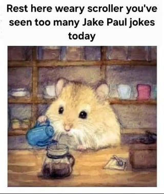 The image features a top text overlay that reads 'Rest here weary scroller you've seen too many Jake Paul jokes today' above an illustration of a small, light brown hamster. The hamster is positioned in front of a wooden shelf filled with various cups and containers, calmly pouring tea from a blue teapot into a glass jar. The scene is cozy and inviting, intended to offer a peaceful break from the overwhelming number of Jake Paul-related memes, creating a humorous and wholesome contrast.
