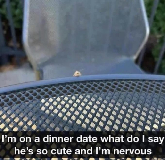 The meme features a small, light-colored spider peeking over the edge of a dark metal mesh patio table, with a blurred mesh patio chair and outdoor greenery visible in the background. White text is overlaid across the bottom of the image, written from the first-person perspective of the spider: 'I'm on a dinner date what do I say he's so cute and I'm nervous'. The humor comes from personifying the typically feared spider as an anxious person excited and nervous about a date with someone they find attractive, making the scenario highly relatable to people who experience social anxiety around crushes or first dates.