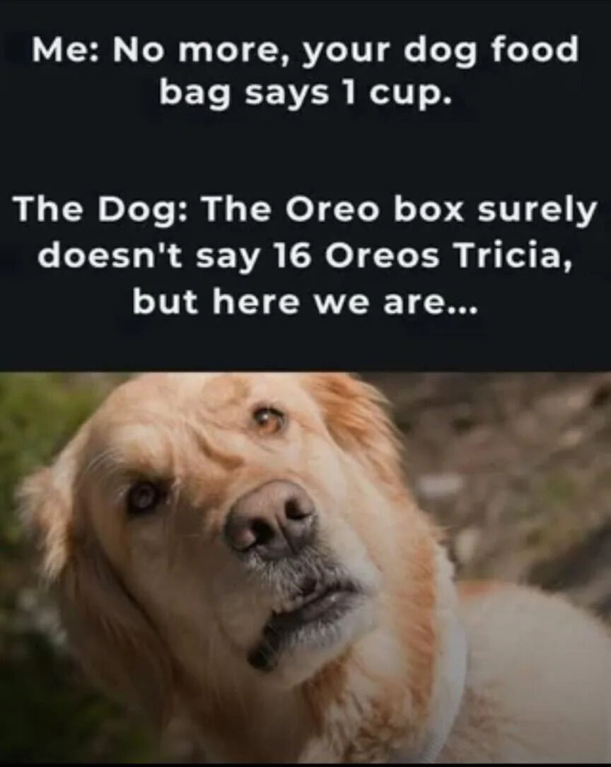 A meme consisting of two sections: the top half contains white text on a black background depicting a dialogue between 'Me' and 'The Dog', while the bottom half shows a close-up photograph of a golden retriever with a knowing, slightly judgmental expression. The dialogue humorously highlights the dog's perceived hypocrisy, as 'Me' tells the dog to stop eating beyond the recommended 1 cup of dog food, and the dog responds by pointing out that the human (Tricia) likely doesn't limit themselves to the Oreo box's suggested serving size either.