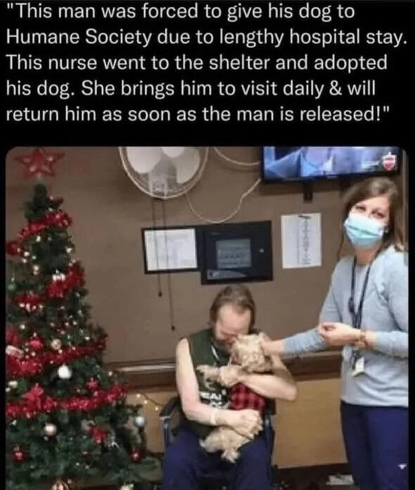 A heartwarming photograph depicting a hospitalized man sitting in a chair, tightly hugging a small dog. Beside him stands a nurse wearing a light blue top, blue pants, and a face mask, gently interacting with the dog. The background features a decorated Christmas tree with red ornaments, a wall-mounted TV, a ceiling fan, and medical charts, indicating a hospital or care facility setting. Above the image is text explaining the scene: the man had to surrender his dog to the Humane Society due to a lengthy hospital stay; the nurse adopted the dog and now brings it for daily visits, planning to return the dog once the man is released.