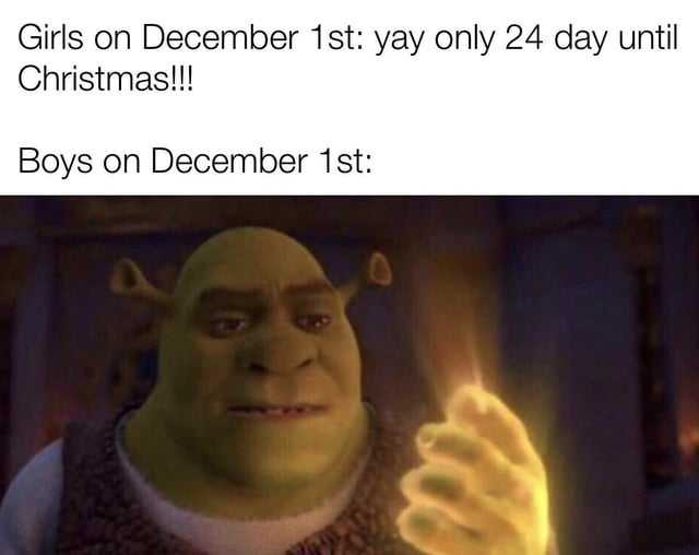 A meme format contrasting the reactions of girls and boys on December 1st. The top text reads 'Girls on December 1st: yay only 24 day until Christmas!!!' expressing excitement for the upcoming holiday. Below, the text 'Boys on December 1st:' is paired with a screenshot of Shrek from the 2001 animated film, where he holds a small glowing light in his hand with a contemplative expression. The humor lies in the implied contrast: girls eagerly counting down to Christmas, while boys have a more subdued or mysterious reaction (represented by Shrek's thoughtful demeanor).