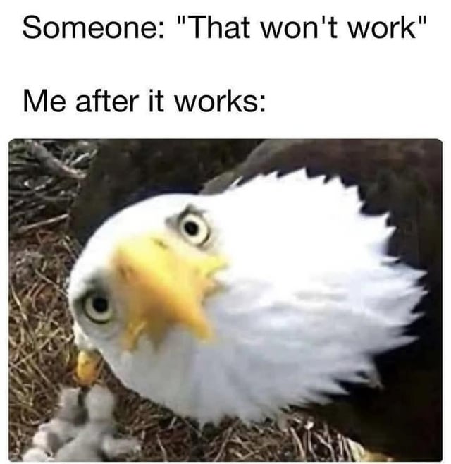 A meme featuring two text overlays and a photograph of a bald eagle. The top text reads 'Someone: "That won't work"' and the bottom text reads 'Me after it works:' followed by a close-up image of a bald eagle with wide, round eyes and a slightly open beak, conveying a look of surprised or triumphant amusement. The humor lies in the relatable scenario of proving someone's doubt wrong, amplified by the eagle's exaggerated, comical expression.