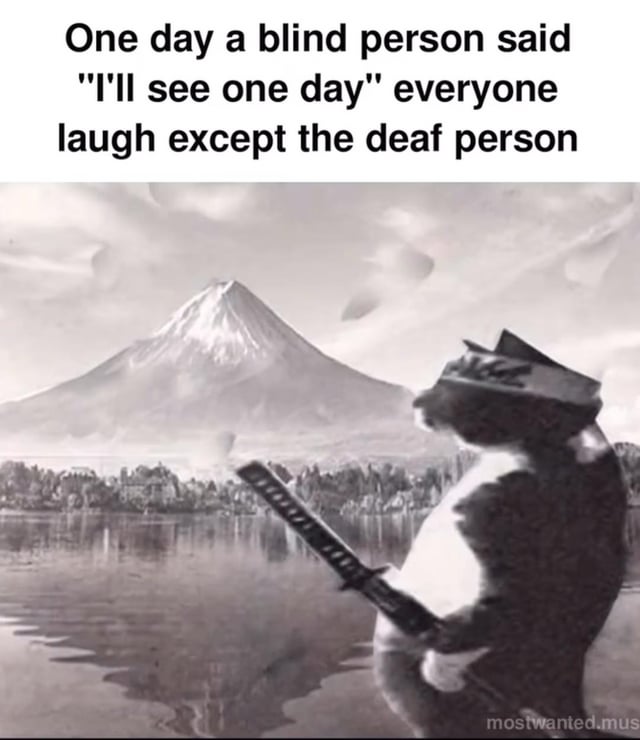 A meme composed of two sections: the top section contains a text joke: 'One day a blind person said "I'll see one day" everyone laugh except the deaf person' — a play on irony where the deaf person wouldn't hear the blind person's statement, hence not laughing. The bottom section is a black-and-white image of an anthropomorphic cat wearing a samurai-like hat, standing upright, and holding a sword, set against a scenic background featuring Mount Fuji and a lake with reflections. A watermark 'mostwanted.mus' is visible at the bottom right.