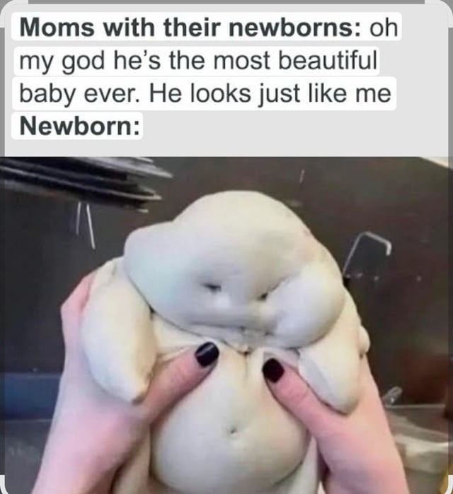 A meme featuring a two-part text overlay and an image. The top text reads: 'Moms with their newborns: oh my god he’s the most beautiful baby ever. He looks just like me' followed by 'Newborn:' below. The image shows a lumpy, featureless dough-like figure being held by hands with black nail polish, humorously representing the newborn's unimpressive appearance in contrast to the mother's enthusiastic claim.
