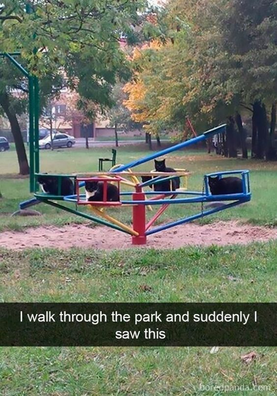 A photograph depicting a group of black cats sitting calmly on a colorful playground merry-go-round in a park. The merry-go-round features a red central pole with blue, yellow, and green rotating arms and seats, each occupied by a cat. The background includes green grass, trees with autumn-colored leaves (green and yellow), distant parked cars, and buildings. A text overlay at the bottom reads, 'I walk through the park and suddenly I saw this,' conveying surprise at the whimsical scene of cats enjoying the playground equipment.