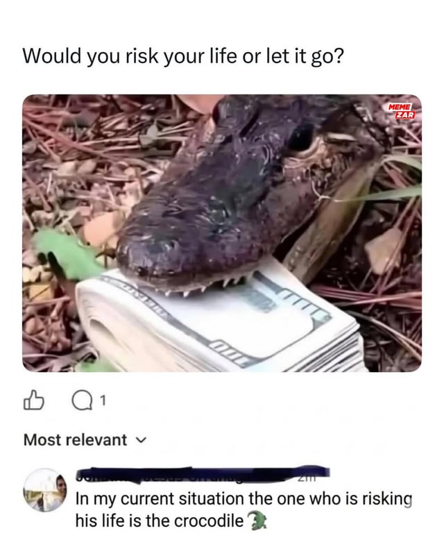 This meme frames a classic high-risk, high-reward dilemma using a visual of a real crocodile holding a stack of US dollar bills in its jaws. The top prompt asks viewers: *'Would you risk your life or let it go?'*, presenting the choice between potentially gaining money by confronting the crocodile, or walking away empty-handed. A Reddit comment below the image adds a humorous, subversive twist: *'In my current situation the one who is risking his life is the crocodile 🐊'*, implying the commenter is so desperate for money that they would pose a threat to the crocodile instead of fearing it. The image shows the crocodile resting on dry, leaf-littered ground with small plants in the background.
