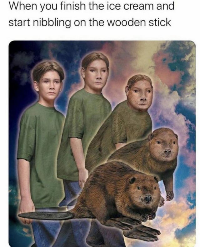 The meme features a vertical sequence of five figures transitioning from a human-like boy to a beaver, set against a colorful, cloudy sky backdrop. The top text reads 'When you finish the ice cream and start nibbling on the wooden stick,' humorously implying a regression to a beaver (known for gnawing wood) when engaging in the relatable habit of nibbling an ice cream stick after finishing the ice cream.