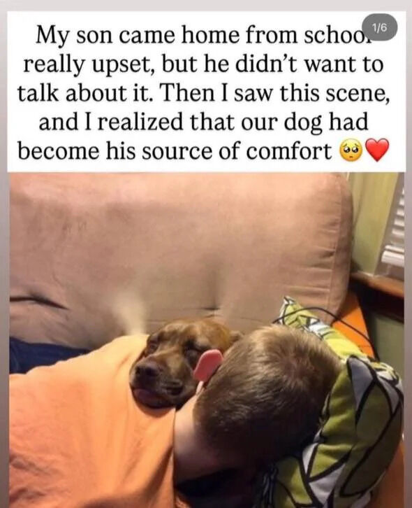 The image combines a text block and a photograph. The top text explains a parent's observation: their son came home upset from school and refused to talk, but the parent discovered the dog had become his source of comfort, accompanied by a sad face and heart emoji. Below the text is a photograph of a young boy with brown hair lying on a brown couch, covered with an orange blanket. A brown dog rests its head on the boy's shoulder, eyes closed and tongue slightly out, appearing relaxed. The boy's head is turned toward the dog, creating a cozy, intimate scene. A green and white patterned pillow is visible near the boy's head, and part of a window with blinds is in the background.