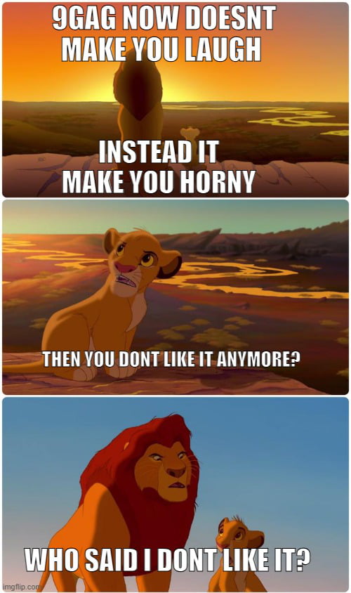 This is a three-panel meme that uses the popular Lion King dialogue template to make a suggestive joke about the content shift on 9GAG. The first panel (with silhouettes of lions on Pride Rock at sunset) states: "9GAG NOW DOESNT MAKE YOU LAUGH / INSTEAD IT MAKE YOU HORNY". The second panel shows young Nala from The Lion King asking: "THEN YOU DONT LIKE IT ANYMORE?". The third panel shows adult Simba responding: "WHO SAID I DONT LIKE IT?", which implies that people still enjoy 9GAG even though the content is now more sexually suggestive rather than purely comedic.