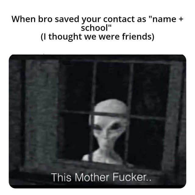 This is a relatable two-part meme. The top text reads: "When bro saved your contact as 'name + school' (I thought we were friends)". Below this text is a widely recognized reaction image of a gray alien staring through a grid-patterned window, with the vulgar caption "This Mother Fucker.." displayed at the bottom of the image. The humor stems from the petty, over-the-top frustration at a small social slight: feeling that a friend doesn't see you as a close, standalone connection, only associating you with your school. The alien's deadpan, betrayed-looking expression paired with the blunt caption amplifies the relatable, exaggerated annoyance at this minor letdown in a friendship.