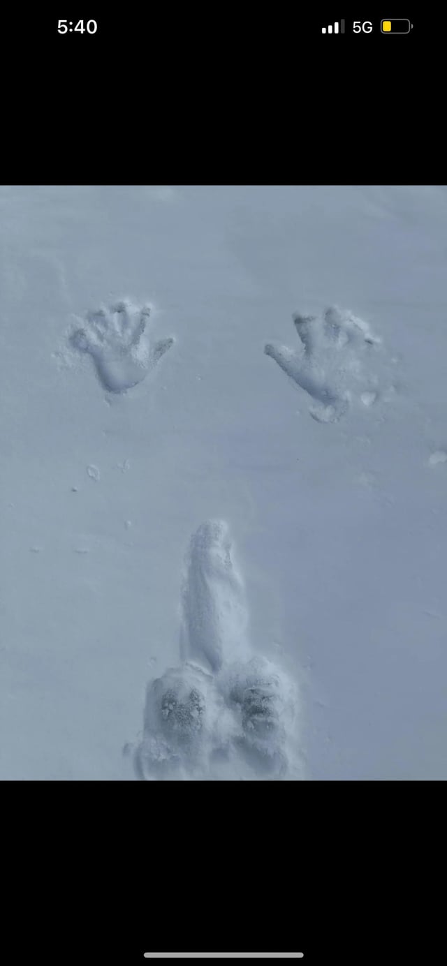 The image displays a snowy surface featuring an optical illusion: two animal paw prints at the top visually mimic human hand prints, while a set of lower animal tracks appear to form the shape of human legs and feet. This forced perspective trick creates the misleading impression that a person left hand and foot marks in the snow, when all marks are actually animal prints. The top portion includes a mobile device status bar showing the time 5:40, 5G connectivity, and a battery icon, confirming this is a screenshot of a mobile photo.