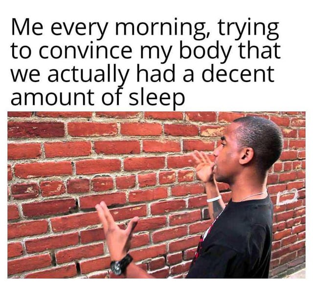 A meme consisting of a top text caption and a photograph. The text reads: 'Me every morning, trying to convince my body that we actually had a decent amount of sleep'. Below the text is an image of a real man standing in front of a red brick wall, gesturing with both hands towards the wall as if explaining or persuading an unresponsive entity. The wall symbolizes the body's resistance to accepting that enough sleep was obtained, creating a relatable humor about morning fatigue.