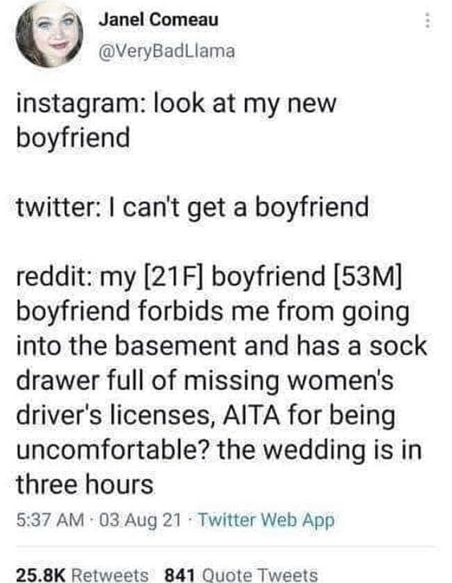 A screenshot of a Twitter post by user @VeryBadLlama (Janel Comeau) humorously contrasting different social media personas. The post lists three scenarios: Instagram ('look at my new boyfriend'), Twitter ('I can't get a boyfriend'), and Reddit with an exaggerated AITA (Am I The Asshole) scenario involving a 21-year-old female and her 53-year-old boyfriend who forbids her from entering the basement, has a sock drawer of missing women's driver's licenses, and an upcoming wedding in three hours. The meme satirizes the varying, often contradictory personas people present across different social media platforms.