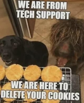 The image depicts two real dogs positioned next to a cooling rack filled with freshly baked cookies. The top text overlay reads 'WE ARE FROM TECH SUPPORT' and the bottom text reads 'WE ARE HERE TO DELETE YOUR COOKIES,' creating a humorous pun on 'cookies' (referencing both baked goods and browser cookies). The dogs appear eager and playful, enhancing the lighthearted and wholesome tone of the meme.