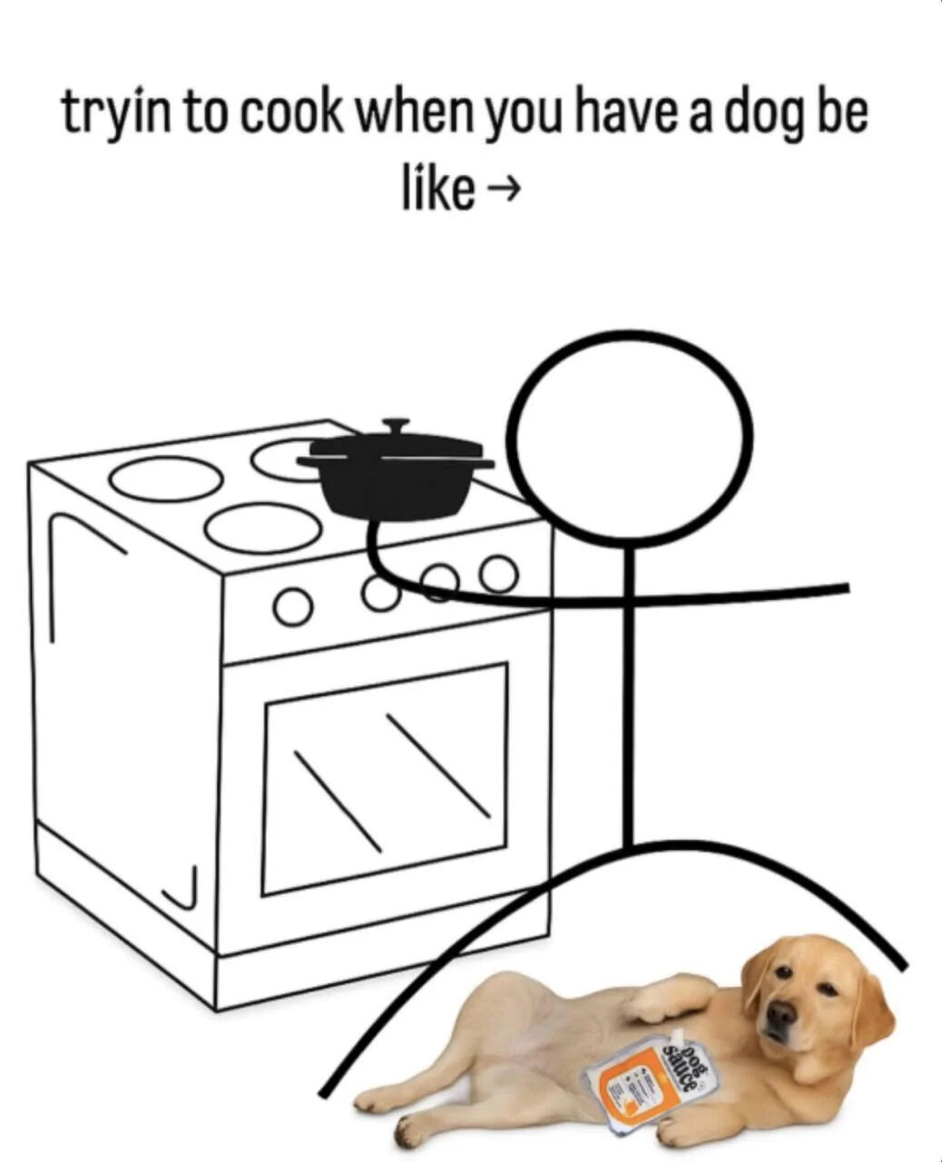 A meme humorously depicting the relatable scenario of cooking while owning a dog. The top text reads 'tryin to cook when you have a dog be like →', guiding the viewer to the visual below. The image combines a simple black stick figure illustration of a person standing next to a stove with a pot on it, and a real photograph of a golden retriever lying relaxed on the floor with an orange 'Dog Sauce' packet resting on its chest. The contrast between the focused stick figure cook and the悠闲 dog with the playful 'sauce' packet creates a wholesome and funny narrative about pets interrupting or accompanying daily cooking activities.