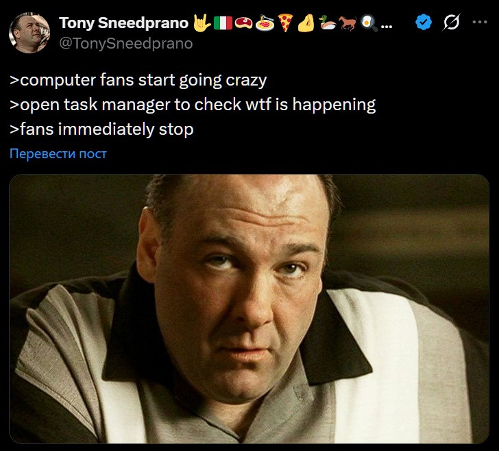 A meme screenshot from X.com featuring a tweet by user @TonySneedprano. The tweet humorously depicts a common tech experience: computer fans suddenly becoming loud, prompting the user to open Task Manager, after which the fans immediately stop. Below the tweet is a Russian phrase 'Перевести пост' (Translate post). The lower portion of the image shows a close-up of a man with a serious, contemplative expression—identified as Tony Soprano from the TV show 'The Sopranos'—whose demeanor complements the confusion described in the tweet. The username 'Tony Sneedprano' references Tony Soprano, adding a pop culture layer to the relatable tech humor.