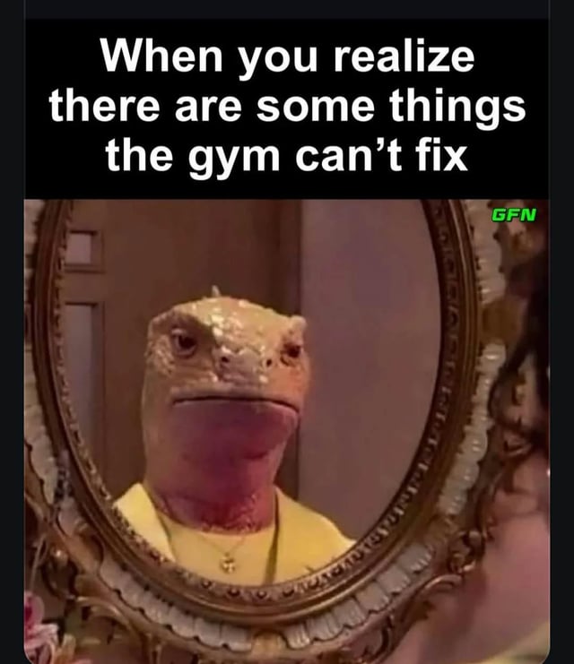 This meme combines a text overlay with an edited image to deliver a humorous, self-deprecating joke. The top text reads: "When you realize there are some things the gym can’t fix". Below the text, an edited image shows a person looking into an ornate, vintage-style mirror; their reflection has a human upper body (wearing a yellow shirt and small necklace) but is topped with a lizard's head, which has a dejected, resigned expression. The joke plays on the common cultural idea that people turn to gym and fitness to boost self-image and confidence, while humorously highlighting that even physical improvement can't resolve deep-seated insecurities or dissatisfaction with one's own appearance. The lizard reflection serves as a visual metaphor for feeling fundamentally "undesirable" or flawed, a feeling that exercise can't fix.