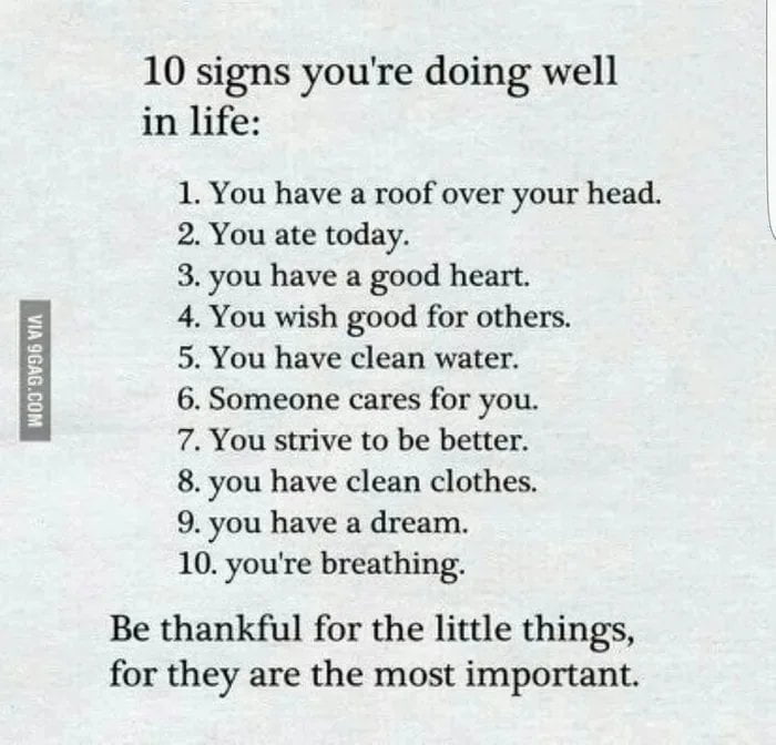 This is a text-based wholesome motivational graphic set against a light pale textured background. It opens with the heading '10 signs you're doing well in life:', followed by a numbered list of 10 simple, often underappreciated positive life markers: having shelter, having eaten that day, being kind-hearted, wishing well for others, having access to clean drinking water, having people who care about you, actively trying to improve yourself, having clean clothes to wear, having a dream or goal to pursue, and being alive and breathing. It closes with a reminder that people should be thankful for these small, basic things, as they are the most important parts of life.