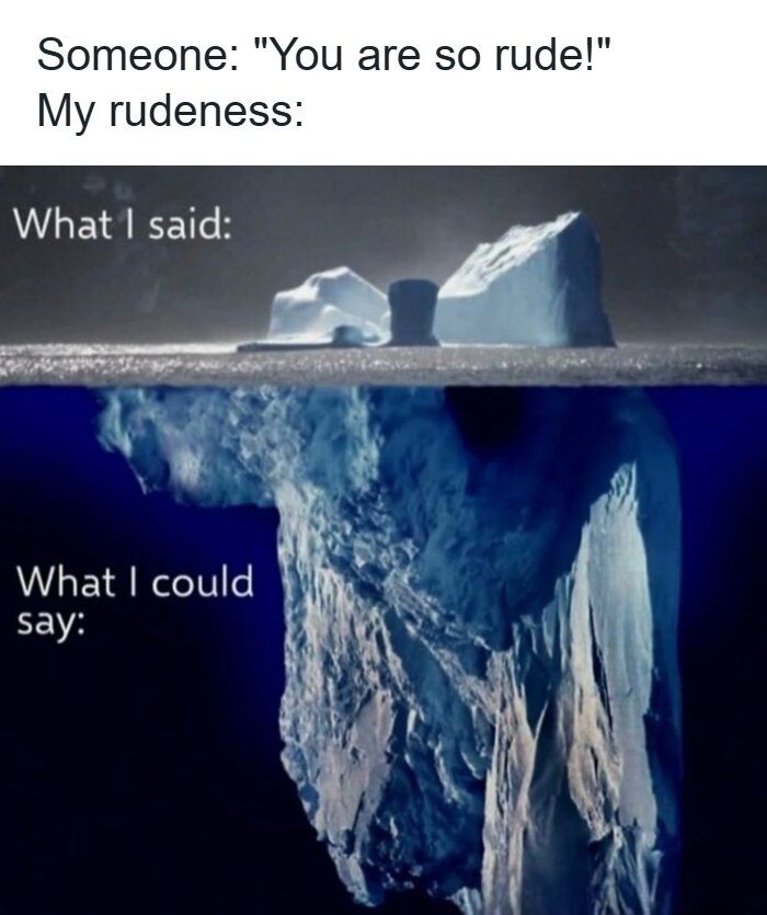 This meme uses the well-known iceberg analogy, where only a small fraction of an iceberg is visible above the waterline while most of its mass is hidden underwater. The opening text reads 'Someone: "You are so rude!" My rudeness:'. The small, visible portion of the iceberg above the water is labeled 'What I said:', referring to the minor comment the speaker actually made that was criticized as rude. The far larger, massive section of the iceberg under the water is labeled 'What I could say:', humorously implying that the speaker held back far harsher, ruder remarks, so the comment they did make was extremely restrained compared to what they were capable of saying. It is a relatable joke about holding back frustration during interpersonal interactions.