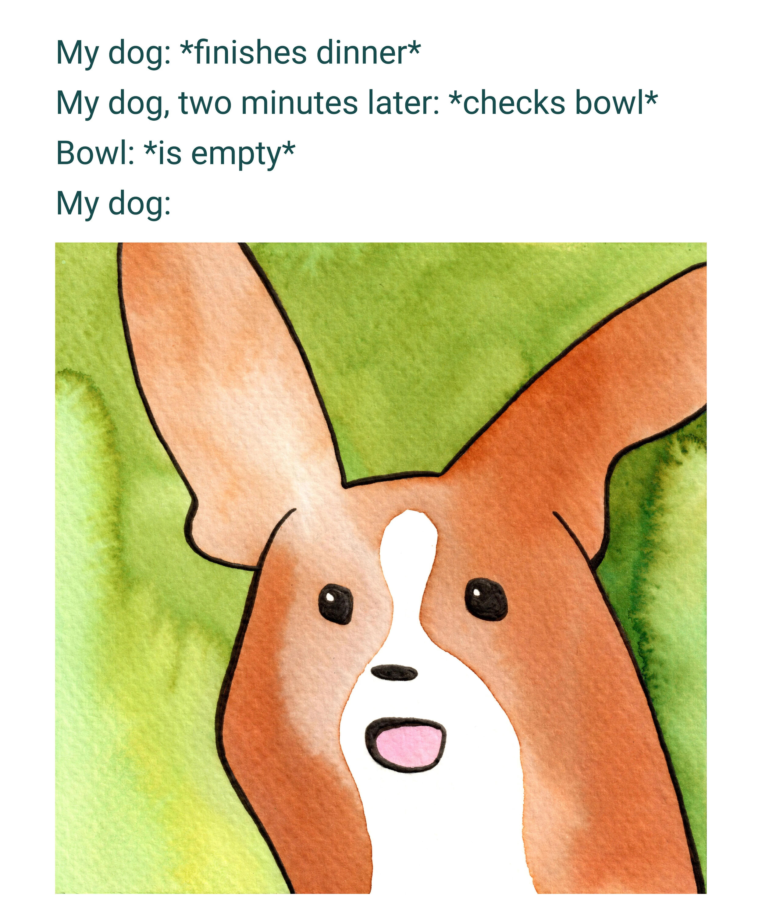 A meme combining text and a watercolor-style illustration. The text humorously depicts a sequence: a dog finishes dinner, checks the bowl two minutes later, finds it empty, and the illustration shows the dog's reaction. The illustration features a dog with large orange ears, white muzzle, pink mouth, and a green watercolor background, conveying a confused or surprised expression.
