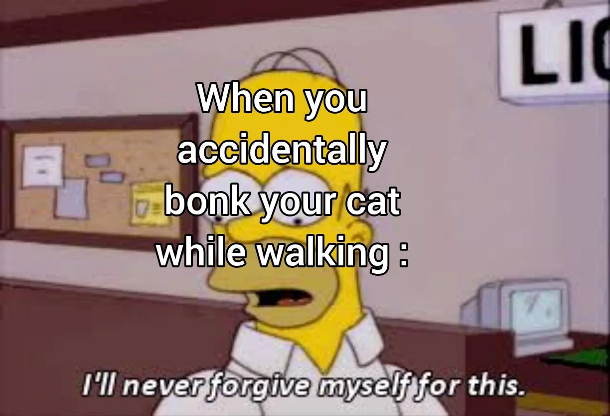A meme featuring Homer Simpson from the animated TV show 'The Simpsons,' displaying a shocked and remorseful expression. The image includes text overlay: 'When you accidentally bonk your cat while walking :' at the top, followed by Homer saying 'I'll never forgive myself for this' at the bottom. The background shows an office-like setting with a bulletin board containing papers and a partial 'LIO' sign visible on the wall. The meme humorously captures the relatable guilt of accidentally hurting a pet, leveraging Homer's exaggerated emotional reaction for comedic effect.