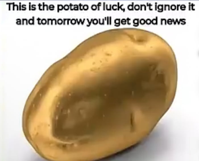 The image features a golden-colored potato centered against a plain white background. Above the potato, there is black text that reads: "This is the potato of luck, don't ignore it and tomorrow you'll get good news". The potato has a smooth, shiny surface resembling gold, symbolizing luck or value. The text conveys a playful, superstitious message encouraging viewers to acknowledge the potato to receive good news the next day.