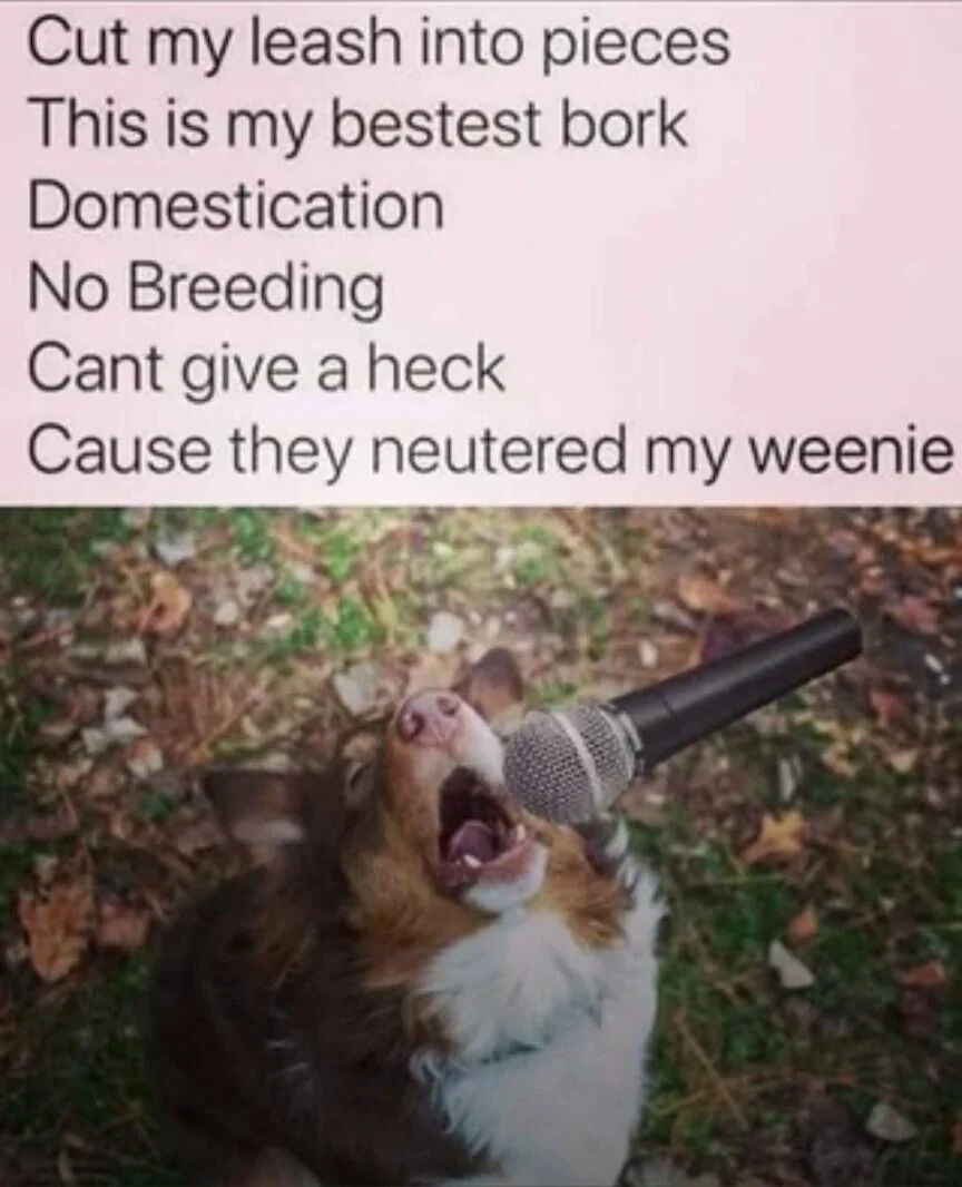 The image is divided into two sections. The top section features black text on a light pink background with dog-themed parody lyrics: 'Cut my leash into pieces This is my bestest bork Domestication No Breeding Cant give a heck Cause they neutered my weenie'. The bottom section shows a real dog (likely a corgi mix) lying on the ground surrounded by autumn leaves, looking upward with its mouth wide open as if enthusiastically singing into a black handheld microphone.