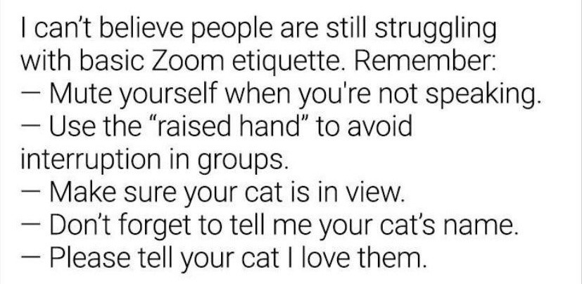 This text-based satirical meme begins by listing two standard, widely recommended Zoom meeting etiquette rules: muting your microphone when you are not speaking, and using the raised hand feature to avoid interrupting others during group calls. It then comically shifts tone to list three absurd, cat-centric rules that have no relation to actual meeting etiquette: requiring attendees to keep their cat in camera view, share their cat's name with the group, and tell their cat that the speaker loves them. The humor stems from the relatable, lighthearted obsession many remote workers have with seeing their colleagues' pets appear during virtual work calls, subverting expectations of boring work-related advice.