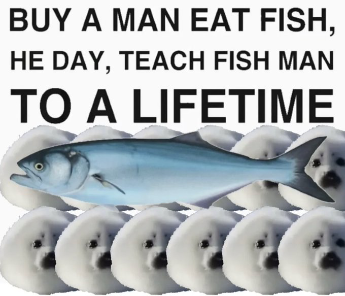 This surreal meme features three lines of heavily jumbled text at the top, which is a nonsensical misrendering of the common proverb 'Give a man a fish and you feed him for a day; teach a man to fish and you feed him for a lifetime', reading 'BUY A MAN EAT FISH, HE DAY, TEACH FISH MAN TO A LIFETIME'. Below the text, a single whole blue fish lies horizontally across the center, surrounded by two rows of identical round, fluffy white seal meme faces with blank, deadpan neutral expressions. The humor derives from the complete nonsensical corruption of the well-known proverb paired with the absurd, surreal visual of the fish resting on the expressionless seal faces.