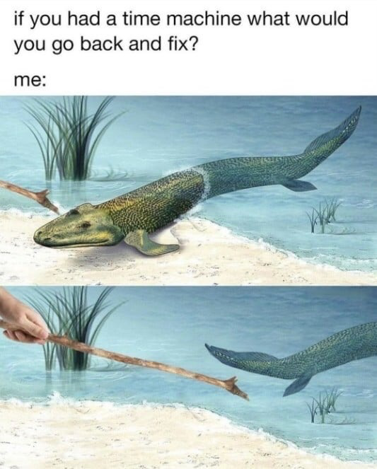 This is a two-panel humorous meme. The top section features text reading 'if you had a time machine what would you go back and fix? me:'. The first panel shows a paleoart illustration of Tiktaalik, an extinct prehistoric transitional species between aquatic fish and land-dwelling tetrapods, crawling onto a sandy shore from shallow water, with a stick pointed toward it. The second panel shows a human hand using the stick to nudge Tiktaalik back into the water as the punchline: the meme creator humorously implies they would prevent the evolution of all land-dwelling life to avoid the inconveniences and suffering of modern human existence.