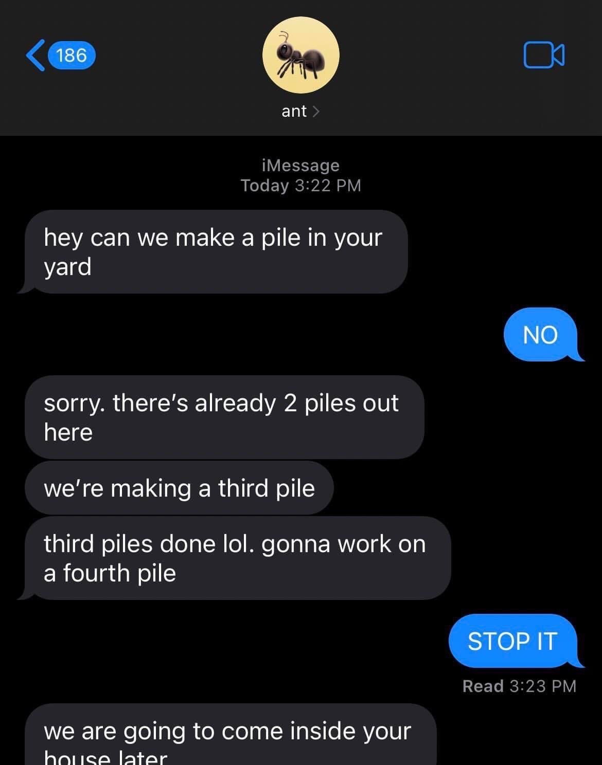The image is a fake iMessage chat screenshot featuring a conversation between a contact named 'ant' (with an ant illustration profile picture) and a homeowner user. The ant first asks permission to make a pile (anthill) in the user's yard, and the user immediately rejects with 'NO'. The ant ignores the refusal, stating there are already 2 piles in the yard, then proceeds to say they made a third pile and are starting a fourth. The frustrated user responds 'STOP IT', which the ant also ignores, ending the visible conversation by saying they will come inside the user's house later. The humor comes from personifying the common, unwanted behavior of ants invading yards and homes as a rude, unheeding text exchange, making the relatable annoyance of pest issues funny.
