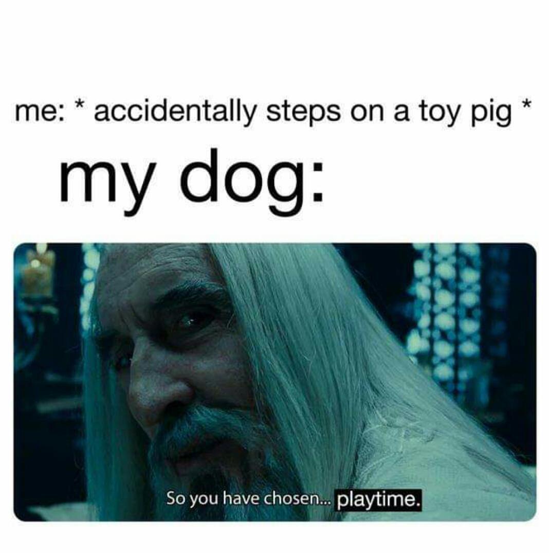 This meme humorously captures a relatable pet owner experience. The top text establishes the scenario: *me: accidentally steps on a toy pig*. Below it, labeled "my dog:", is a still from *The Lord of the Rings: The Fellowship of the Ring* featuring Saruman the White, with the edited subtitle "So you have chosen... playtime." The joke subverts Saruman's original menacing line (a threat) into an excited, wholesome reaction from a dog who interprets the accidental toy noise as an invitation to play. It uses dramatic movie imagery to create a funny contrast with the lighthearted, everyday pet interaction.