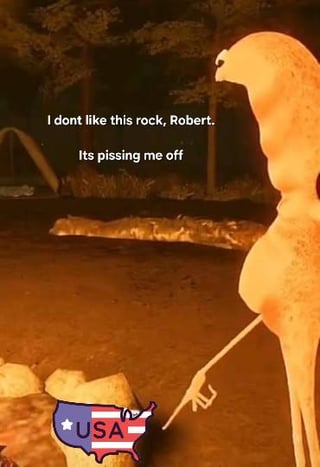 An animated meme featuring an abstract, orange, bird-like creature standing in a dark, outdoor setting with trees in the background. The creature has a long neck, thin legs, and is pointing with one appendage at a rock. The rock has a small illustration of the USA map (with 'USA' labeled) on its surface. Overlaid text reads: 'I dont like this rock, Robert. Its pissing me off,' conveying the creature's frustration toward the rock. The scene combines absurd imagery with relatable frustration to create a humorous, nonsensical effect.