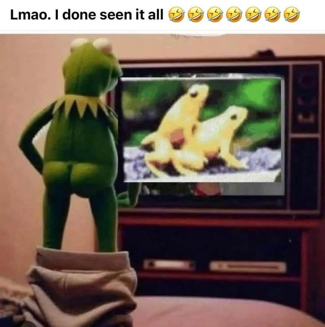 The meme depicts Kermit the Frog, a green puppet character from The Muppets, standing with hands on hips and facing an old-fashioned television set. The TV screen displays two small yellow frogs in a close, seemingly unexpected position, which appears humorous or absurd. Above the image, there is a text overlay: 'Lmao. I done seen it all' followed by seven laughing emojis (😂). Kermit's posture suggests he is reacting to the content on the TV, creating a comedic effect as he appears shocked or amused by the unexpected frog scene. The overall composition is designed to elicit laughter by juxtaposing Kermit's reaction with the absurdity of the frogs on screen.