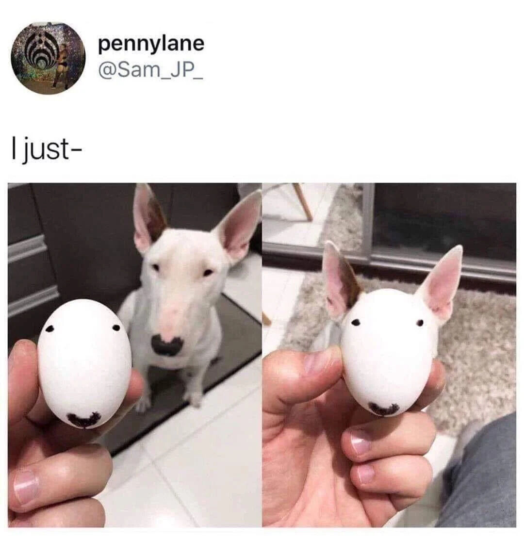 A screenshot from X.com (Twitter) posted by user 'pennylane' (@Sam_JP_) featuring two images. The top text reads 'I just-'. On the left, a white Bull Terrier dog sits on a tiled floor, looking up at a hand holding a white egg. The egg has simple black markings drawn to resemble the dog's face, including eyes and a black nose. On the right, a close-up shows the hand holding the egg, highlighting the detailed resemblance to the Bull Terrier's face. The content is wholesome and cute, capturing a playful moment where a pet owner created an egg lookalike of their dog.