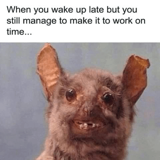 This is a relatable workplace meme that pairs text describing the common experience of waking up late but still arriving at work on time with a photograph of a strained, exhausted-looking bat. The bat's messy worn features and awkward strained expression perfectly capture the shaky, drained feeling after rushing to get ready and just barely making it to work on time, resonating with people who have had this stressful morning experience.