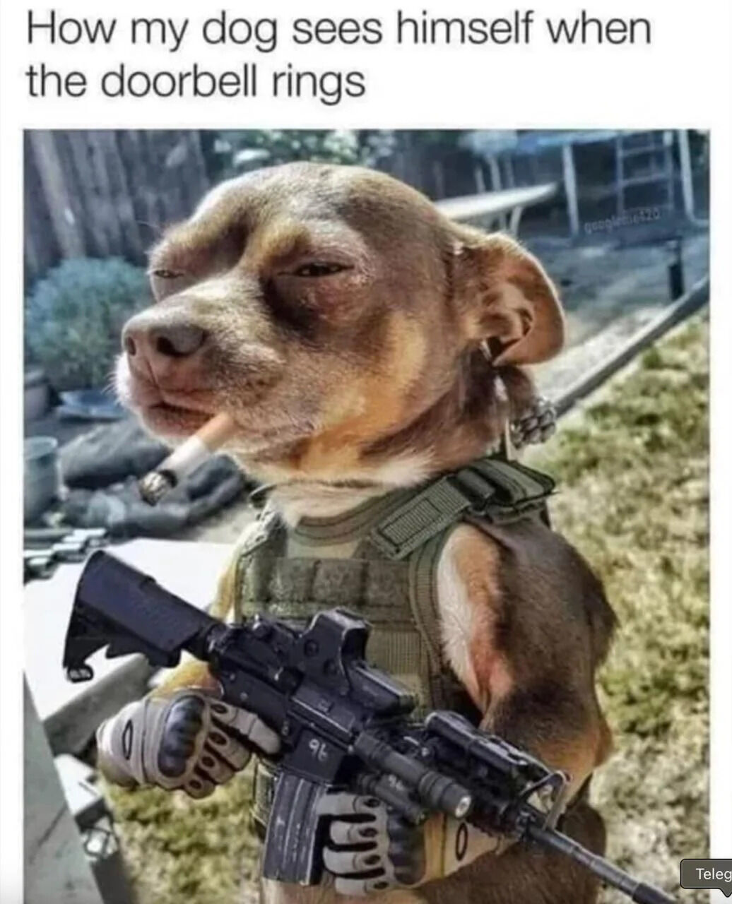 A humorous meme featuring a small dog edited to appear as a tough soldier. The dog is wearing a green tactical vest, holding a black rifle in its paws, and has a cigarette hanging from its mouth. The top text reads 'How my dog sees himself when the doorbell rings,' poking fun at the common scenario where dogs react aggressively to doorbells, imagining themselves as fierce protectors.