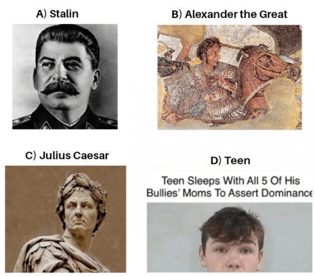 A 2x2 grid meme comparing four figures labeled A to D. A) Black-and-white portrait of Joseph Stalin in military uniform with a serious expression. B) Ancient mosaic depicting Alexander the Great on horseback in battle armor. C) Classical statue of Julius Caesar wearing a laurel wreath with a stern expression. D) A photograph of a teen with neutral expression accompanied by the text: 'Teen Sleeps With All 5 Of His Bullies' Moms To Assert Dominance'. The humor arises from the absurd contrast between revered historical figures and an over-the-top teen scenario presented as an equivalent 'achievement'.
