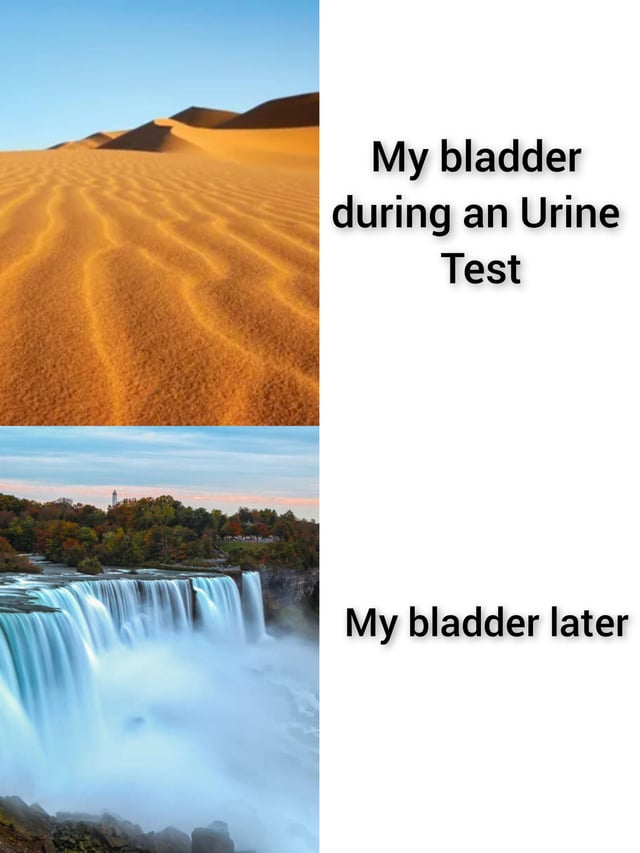 This is a two-panel contrast meme that humorously depicts a common relatable experience with medical urine tests. The top panel displays a dry, empty desert landscape paired with the caption "My bladder during an Urine Test", metaphorically comparing the frustrating inability to produce urine for the test to a barren, liquid-free desert. The bottom panel features a large, powerful, rushing waterfall (Niagara Falls) with the caption "My bladder later", exaggerating the sudden, overwhelming urge to urinate that often occurs immediately after completing the test. The joke relies on the stark visual contrast between an empty, dry space and a full, flowing one to represent the extreme shift in bladder sensation, making light of an annoying everyday medical situation.