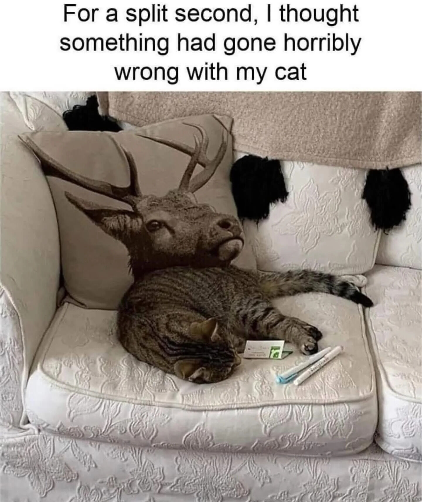 The image features a tabby cat lying relaxed on a white, floral-patterned couch. Behind the cat, there is a pillow with a large print of a deer's head, including prominent antlers. The cat's body position, with its head down and back aligned with the deer pillow, creates an optical illusion at first glance, making it appear as if the cat might have antlers or something wrong. The text at the top of the image reads: 'For a split second, I thought something had gone horribly wrong with my cat,' humorously explaining the initial confusion caused by the visual trick of the cat and the deer pillow.