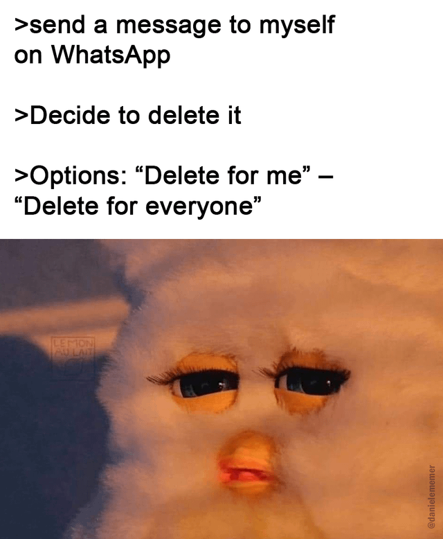This meme consists of text at the top describing a relatable WhatsApp scenario, paired with a reaction image of a tired, wide-eyed Furby plush toy below. The text outlines three steps: 1) Send a message to yourself on WhatsApp, 2) Decide to delete the message, 3) See the delete options offered are both "Delete for me" and "Delete for everyone", which logically should not exist for a chat with only one participant. The reaction image of the concerned Furby plays on the common internet joke about government surveillance of private online activity, implying that the "Delete for everyone" option exists because a secret third party, such as an FBI agent monitoring your messages, is also part of the chat with yourself, matching the original title "FBI agent, is that you?" that references this punchline.