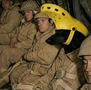 A meme image depicting a cinematic military scene where soldiers are seated, likely inside a military vehicle. The original serious tone is humorously disrupted by two edited elements: one soldier has a dog's head replacing their human head, and another soldier wears a large yellow crocodile shoe (Croc) on their head like a hat. These edits represent 'custom characters' that appear out of place in the otherwise realistic and somber cinematic setting, creating an absurd and funny contrast.