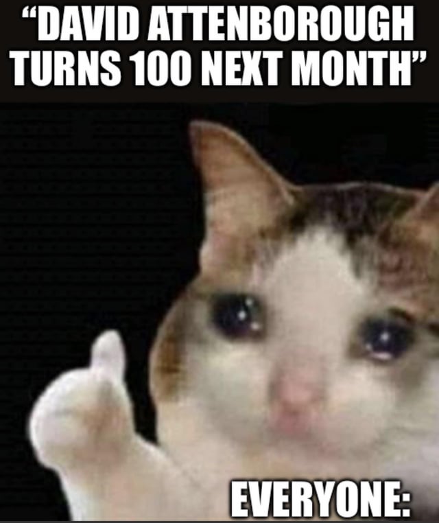 This is a wholesome meme celebrating beloved natural historian and broadcaster David Attenborough's upcoming 100th birthday. It uses the popular crying thumbs up cat meme format: the top text announces that David Attenborough will turn 100 next month, and the bottom text labels the emotional cat as representing all people. The cat with teary, crying eyes while giving a thumbs up conveys shared public joy, appreciation, and emotional approval of Attenborough reaching this incredible life milestone.