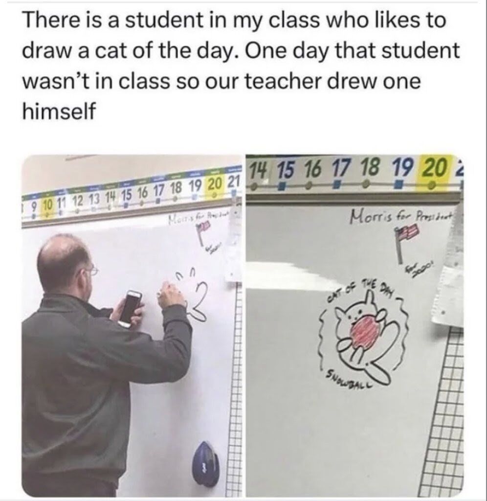 This is a wholesome two-panel meme that opens with a text introduction explaining that a student in a class has a fun tradition of drawing a daily 'cat of the day' on the classroom whiteboard. When the student was absent from class one day, the teacher filled in and drew the daily cat himself. The left panel shows a middle-aged bald teacher drawing the cat on the whiteboard while holding a smartphone to match the student's usual drawing style. The right panel shows the finished cute cartoon cat drawing, labeled 'Cat of the Day Snowball', matching the simple charming style the student uses. The meme highlights a sweet, small kind gesture from a teacher to keep his student's fun tradition alive.