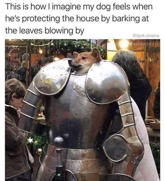 The image is a humorous meme featuring a dog's head photoshopped onto the body of a person wearing full medieval knight armor. The armor is metallic silver with intricate details, including shoulder plates and arm guards. In the background, there are blurred figures (including a child) and festive decorations like greenery and lights, suggesting a market or holiday event setting. Above the image, a text overlay reads: 'This is how I imagine my dog feels when he's protecting the house by barking at the leaves blowing by,' framing the dog as a valiant knight in its own mind while engaging in a trivial act (barking at leaves).