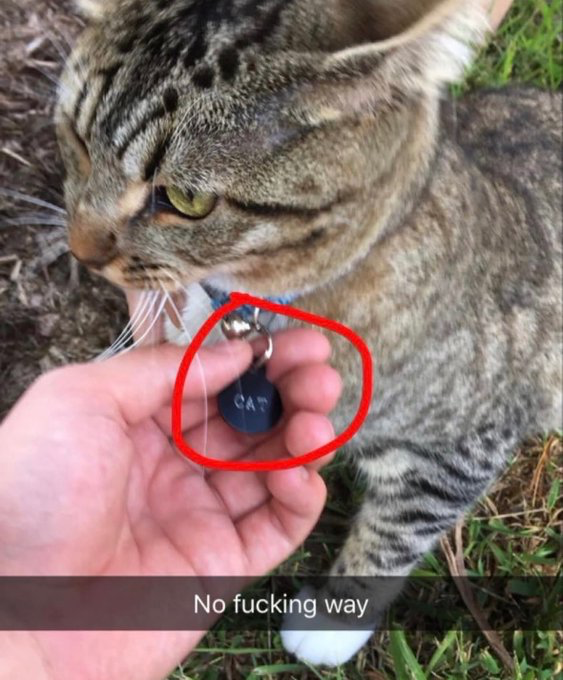 The image is a humorous pet meme showing a brown tabby cat sitting on patchy grass. A person's left hand holds up the cat's collar, which has a small bell and a round black name tag circled with a red annotation. The name tag is printed only with the generic word "CAT" instead of a unique pet name. The cat has a half-lidded, unamused expression and looks away from the camera to the left. White text on a dark translucent bar at the bottom of the image reads "No fucking way", conveying a shocked, amused reaction to the lazy, generic naming choice for the cat.