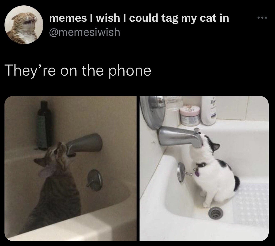 This is a screenshot of a two-panel meme posted on X (formerly Twitter). The top of the screenshot displays the poster's profile: a profile photo of a screaming cat, display name 'memes I wish I could tag my cat in', and username @memesiwish. The text caption above the image panels reads 'They're on the phone'. The left panel features a tabby cat sitting in a bathtub, pressing its face against the metal bathtub faucet spout. The right panel shows a black and white cat sitting in a bathroom sink, pressing its face against the sink's metal faucet spout. The humor comes from a visual pun: the metal faucet spouts look like old mobile phones held up to the cats' ears, making it appear as if the two cats are having a phone call with each other.